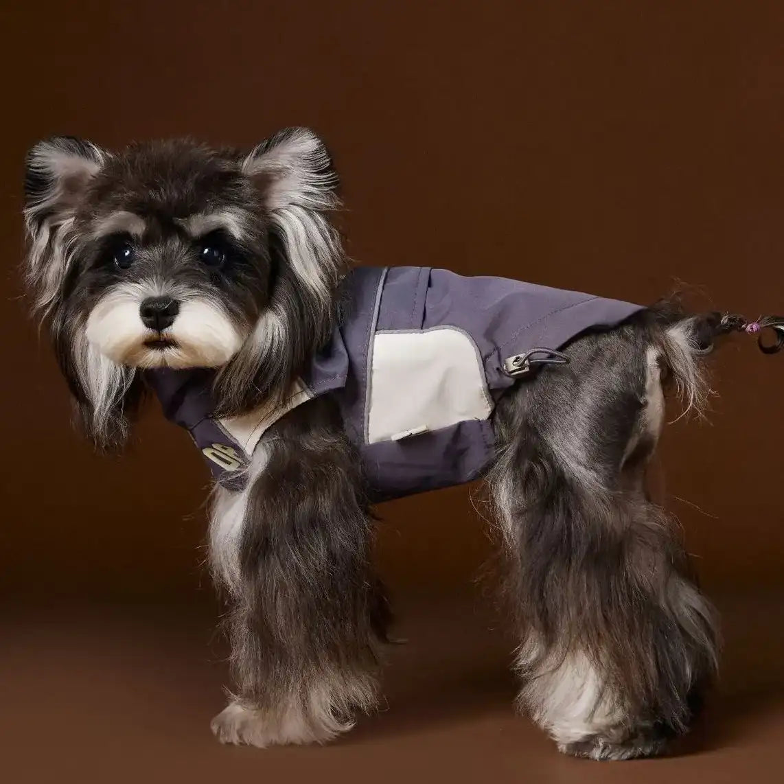 Kittyoo Dog Autumn Sports Vest