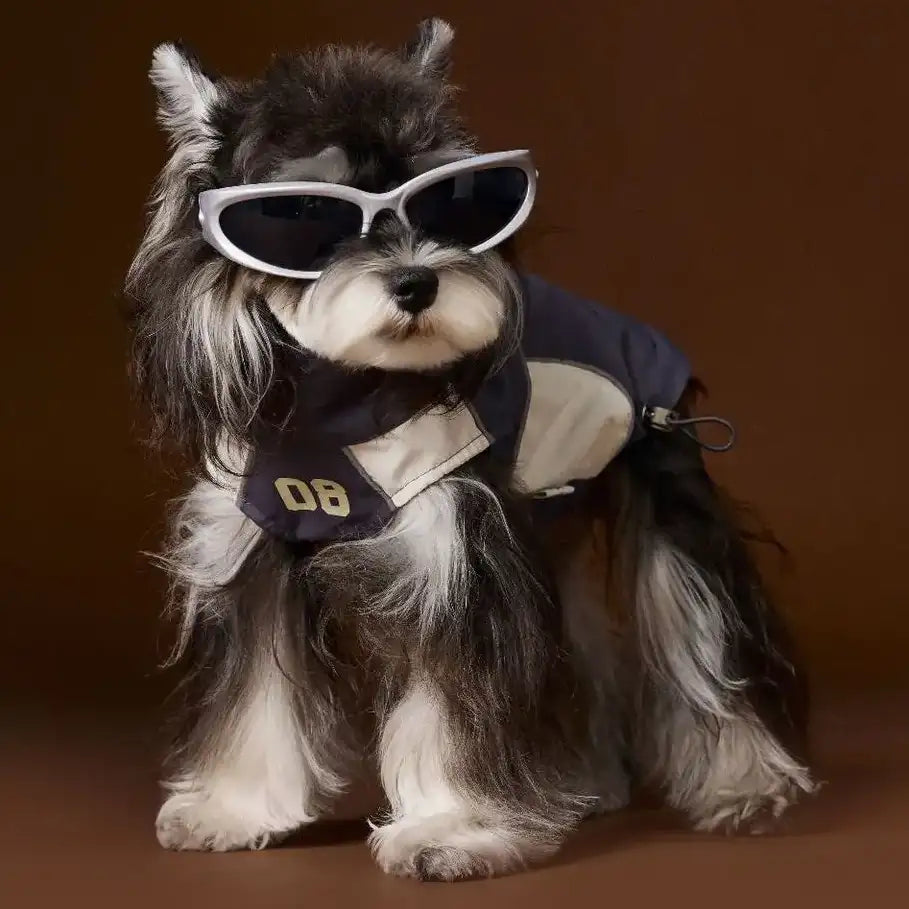 Kittyoo Dog Autumn Sports Vest