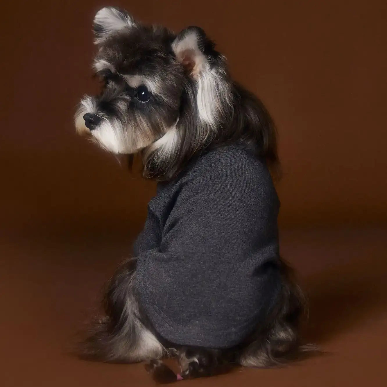 Kittyoo Dog Necklace Underwear Shirt