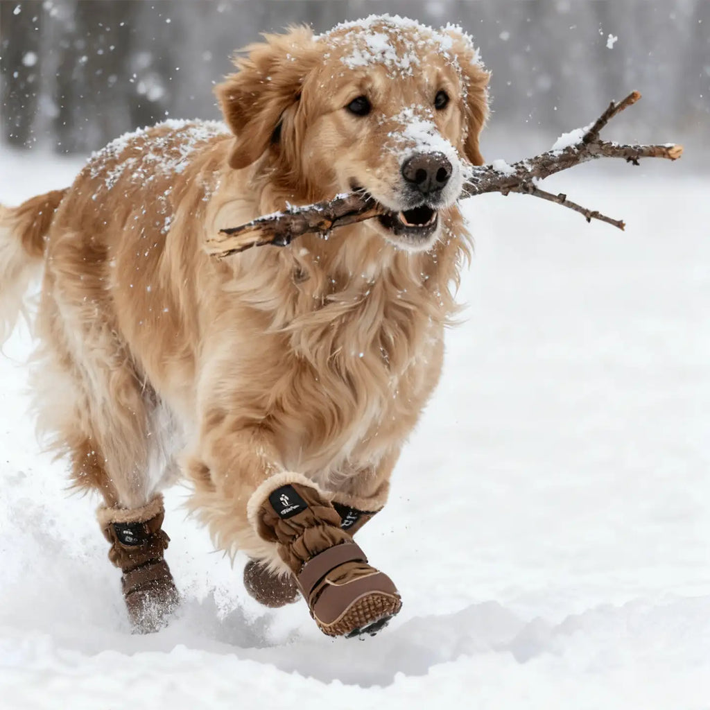 Bottes pour chien Labrador (lot de 4) - Bottes d'hiver imperméables et doublées d'une épaisse polaire 