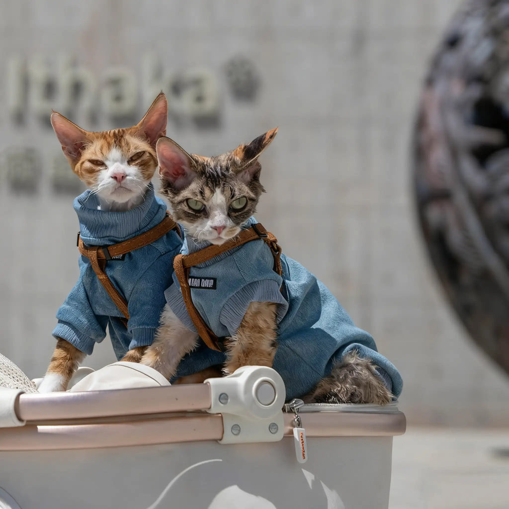 Kittyoo Cat Elastic Denim Vest Hoodie