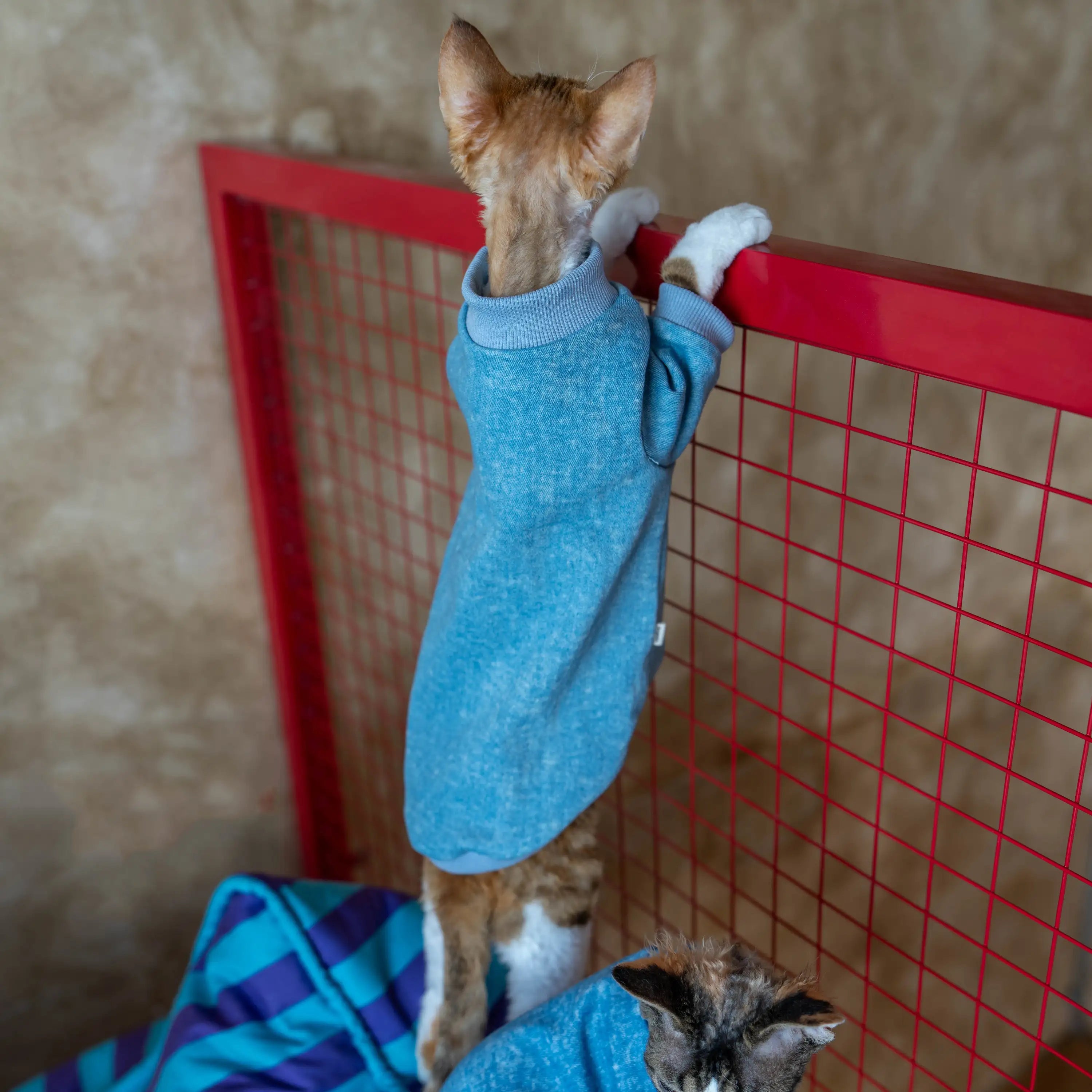 Kittyoo Cat Elastic Denim Vest Hoodie