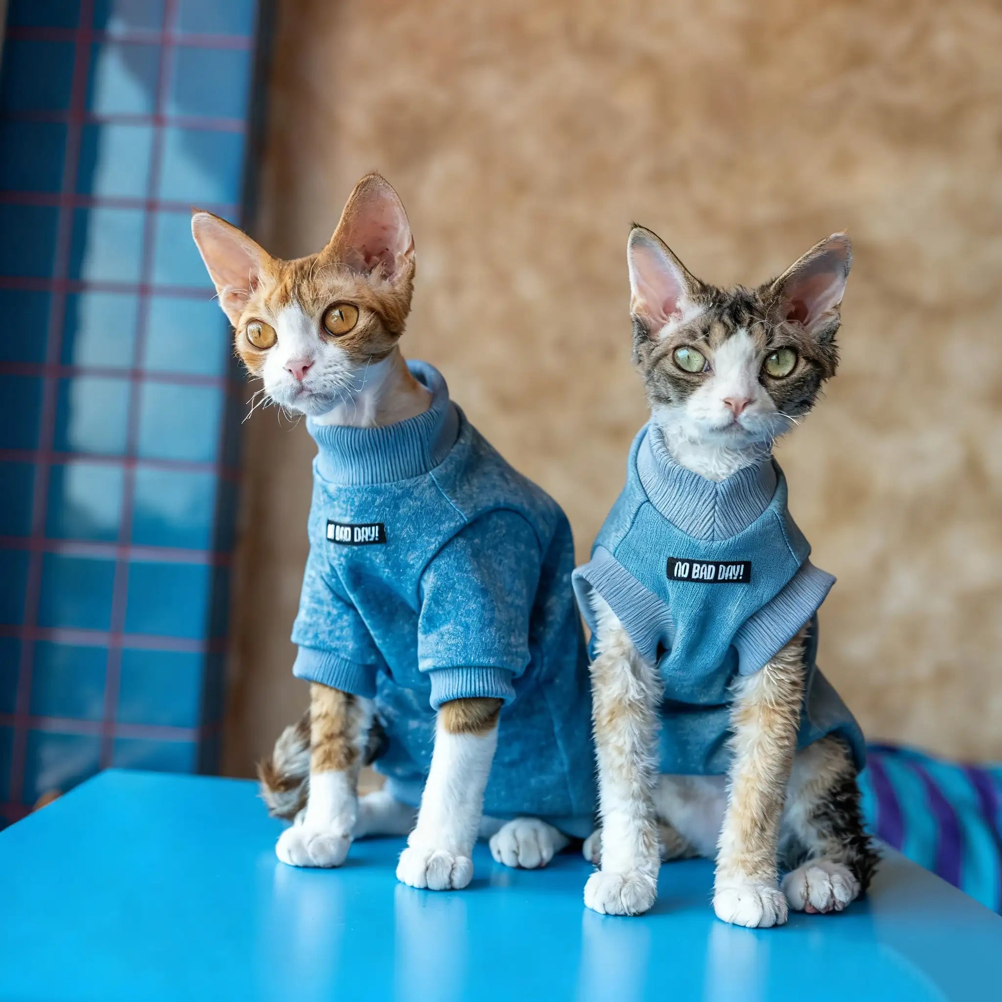 Kittyoo Cat Elastic Denim Vest Hoodie