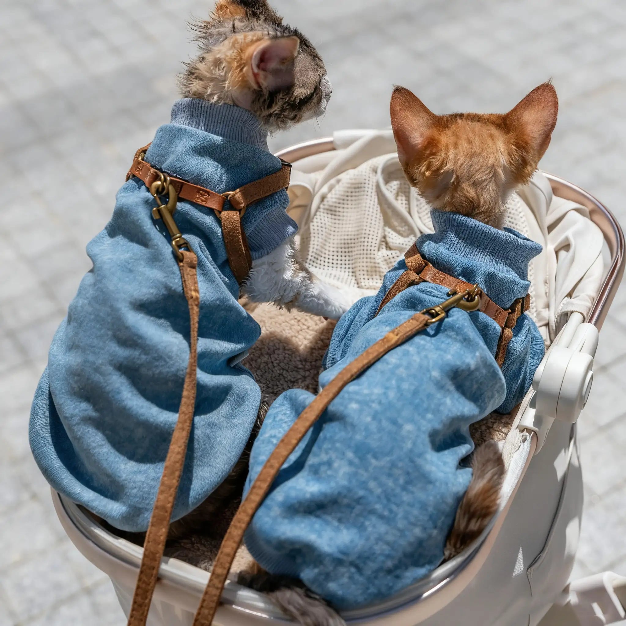 Kittyoo Cat Elastic Denim Vest Hoodie