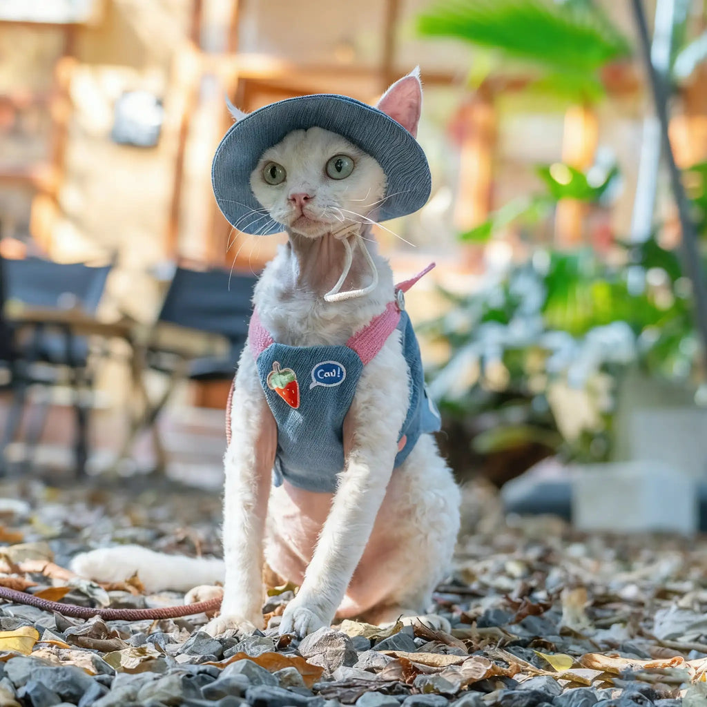 Kittyoo Outdoor Denim Vest with Leash for Pets