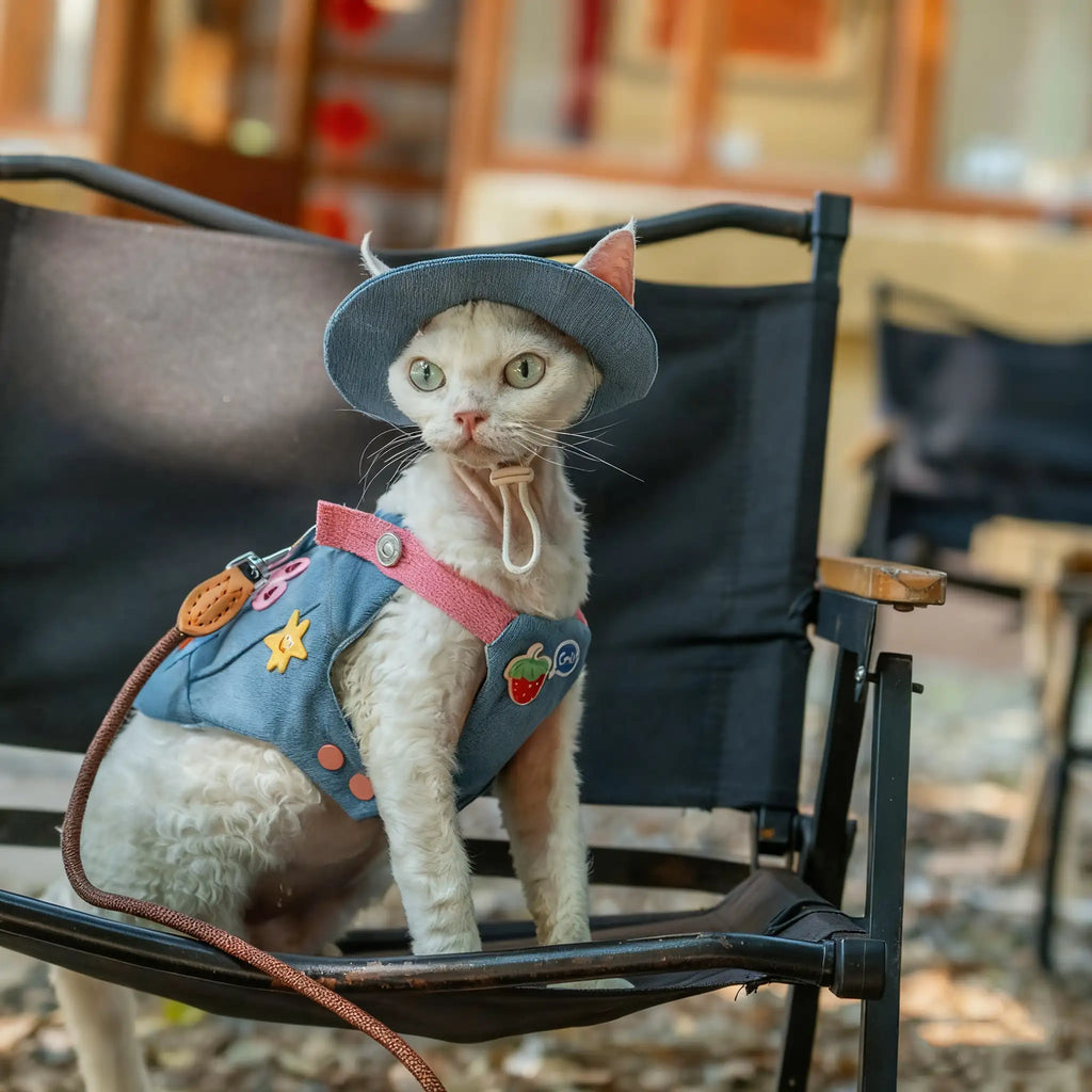 Kittyoo Outdoor Denim Vest with Leash for Pets