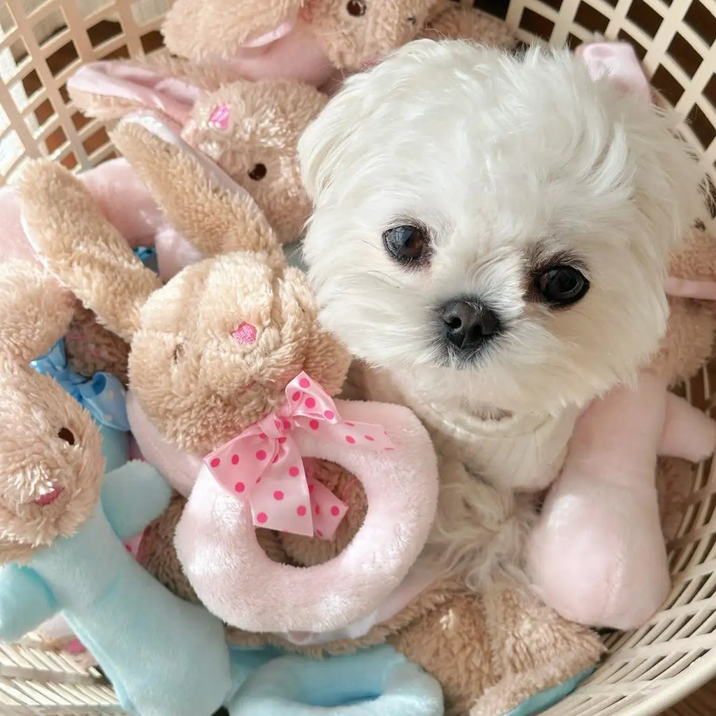 Kittyoo Koselig Kanin Hundelek - Piper og Rangle 