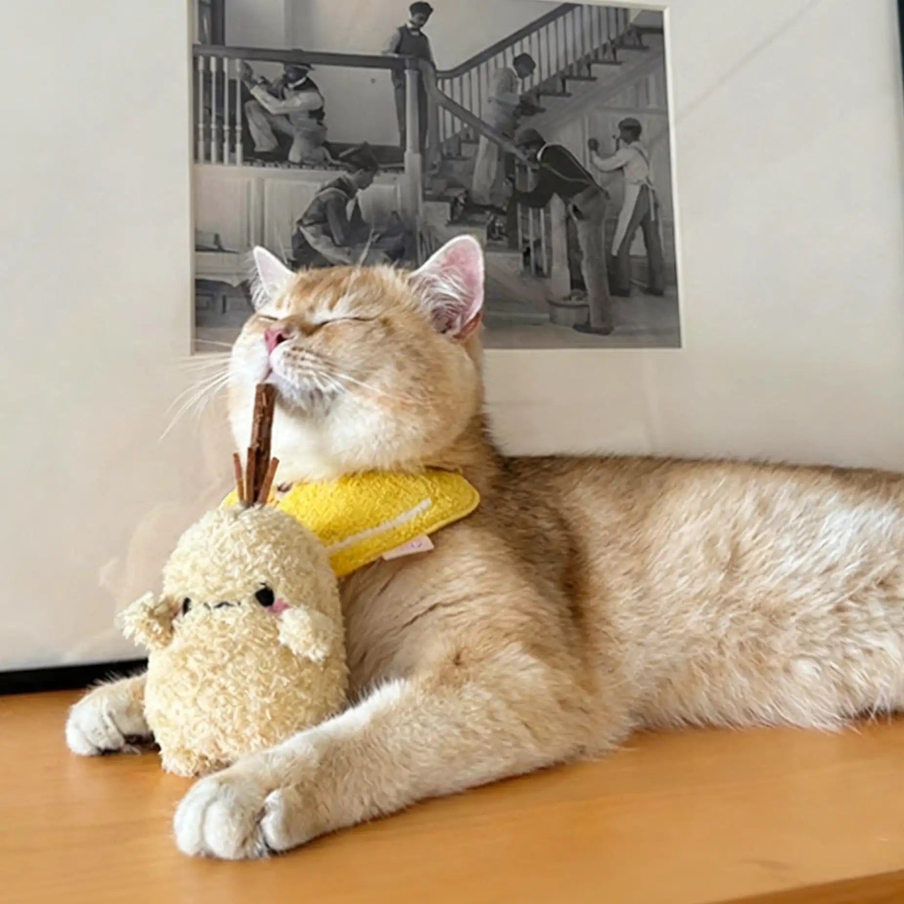 Kittyoo Potato Catnip Cat Toy