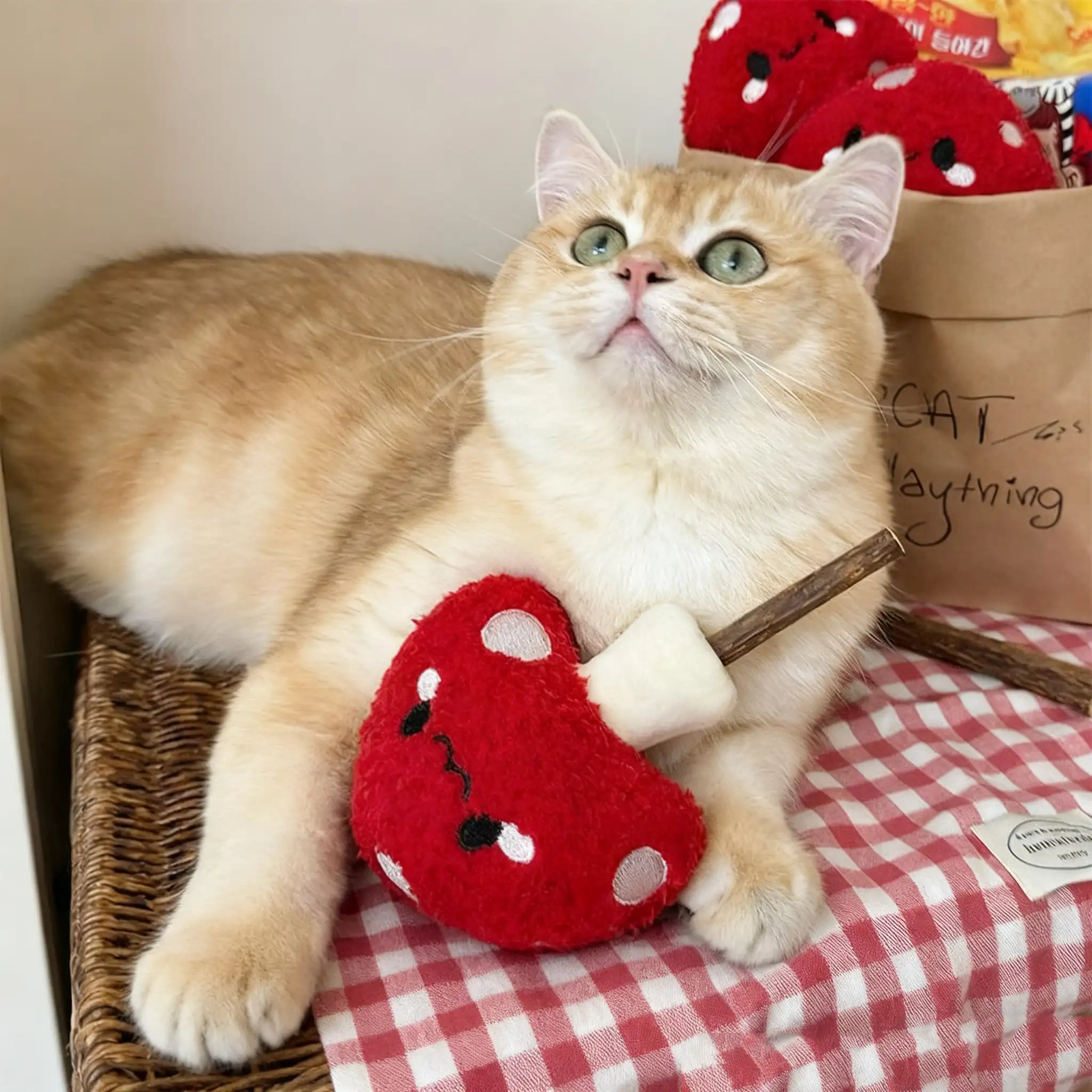 Kittyoo Red Mushroom Catnip Toy