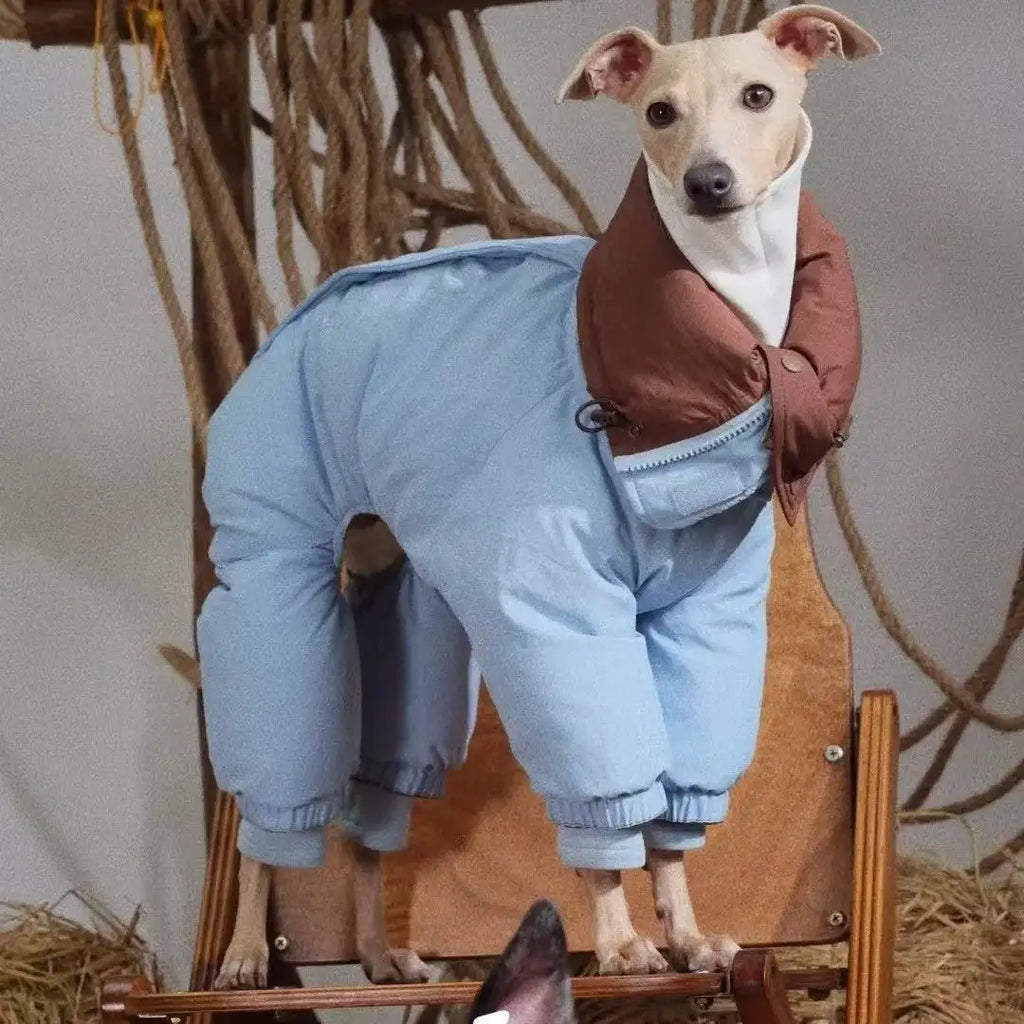 High-Neck Winter Cotton Coat for Medium Dogs