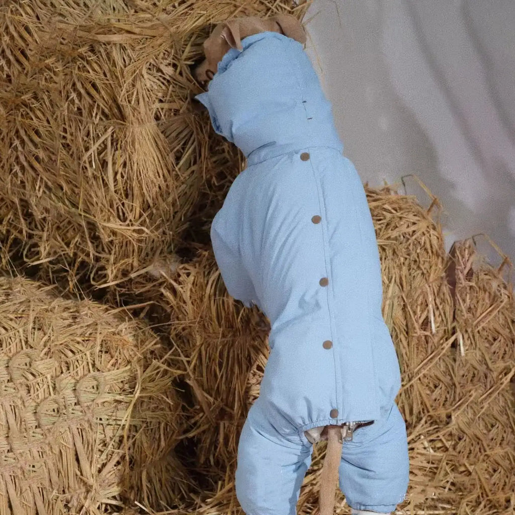 High-Neck Winter Cotton Coat for Medium Dogs