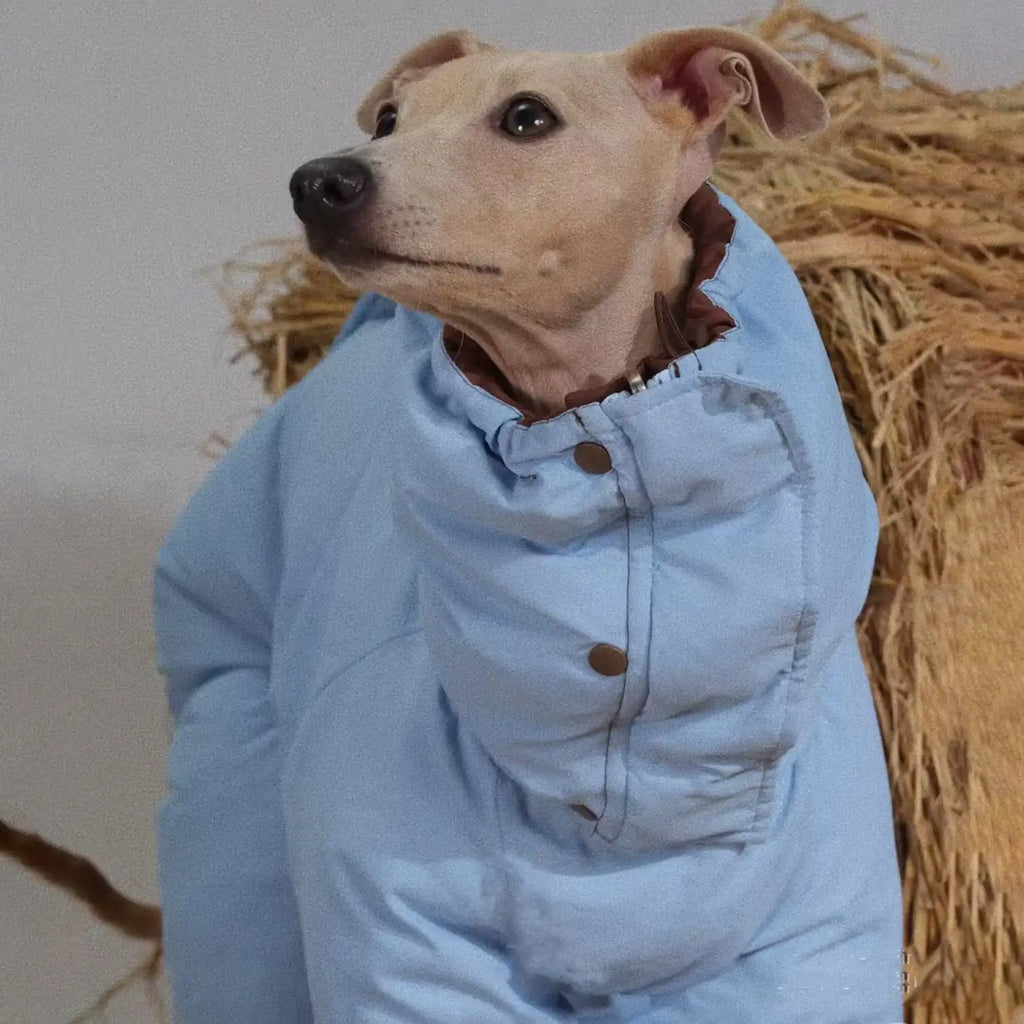 High-Neck Winter Cotton Coat for Medium Dogs