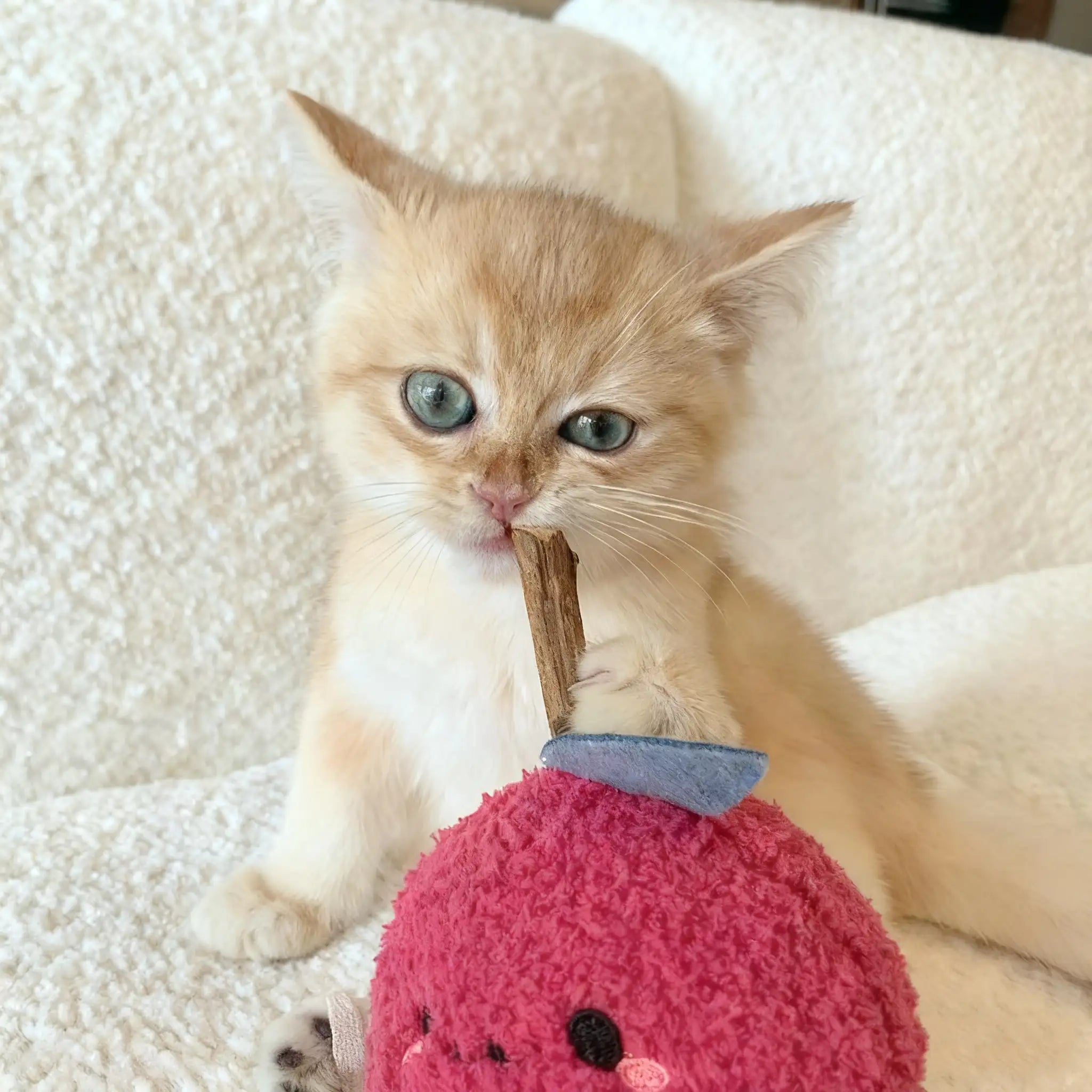 Kittyoo Wooden Catnip Teething Toy