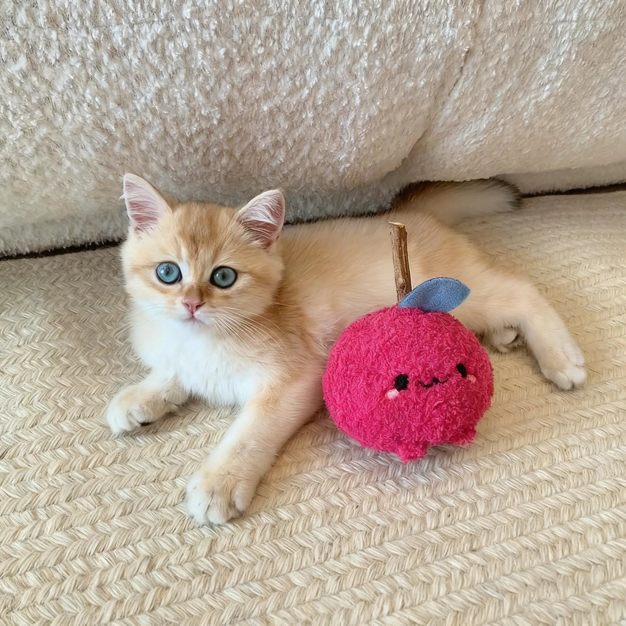 Kittyoo Wooden Catnip Teething Toy